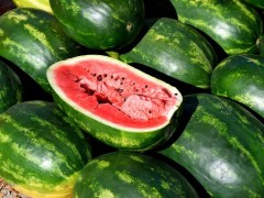 種植西瓜怎么施肥？基肥施不足會有什么后果？